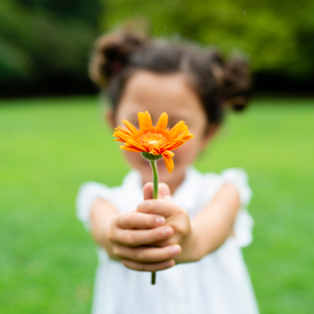 The Power of Gratitude for Emotional Well Being (1)